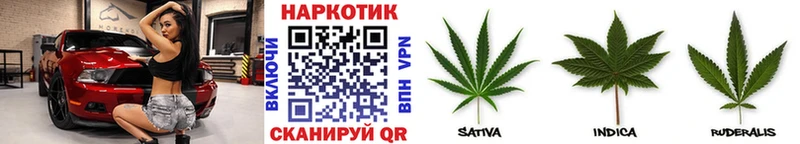 Цена Оренбург MEGA ссылки Канабис A-PVP АМФ МЕФ Гашиш