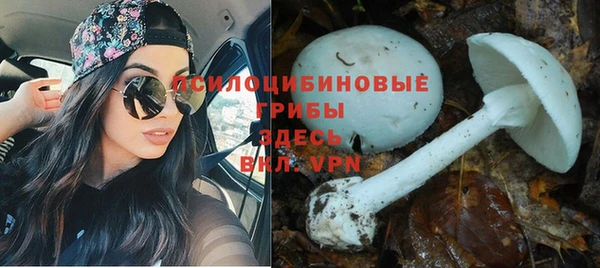 spice Абаза