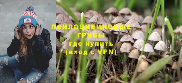 спайс Алексеевка