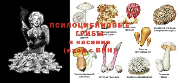 spice Абаза