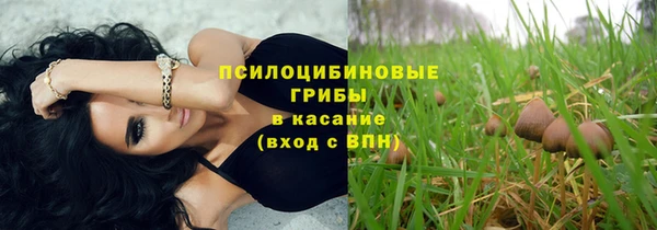 прущие крисы Коряжма